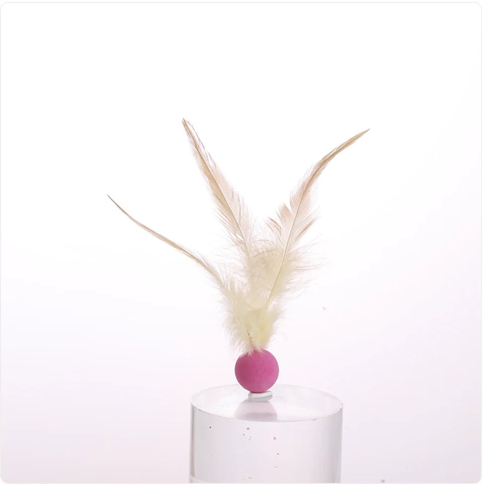 Cat Toy Feather Ball - Furry Lives Matter