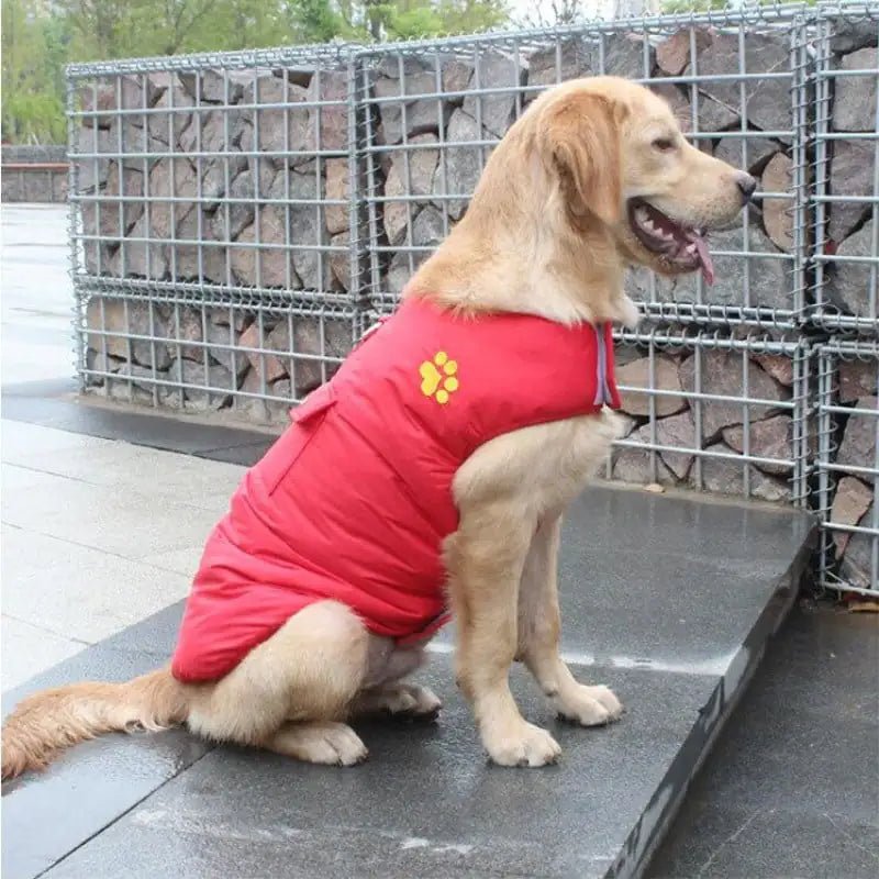 Coat for Dogs - Furry Lives Matter
